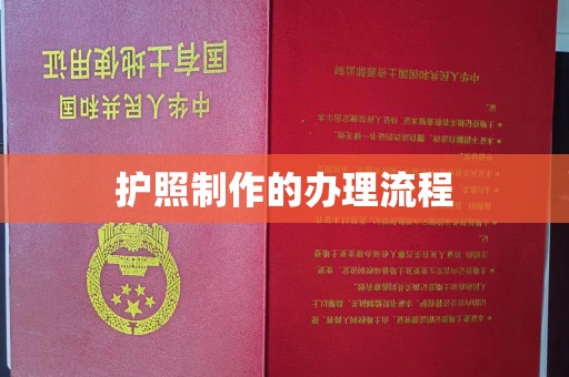 商水护照制作的办理流程