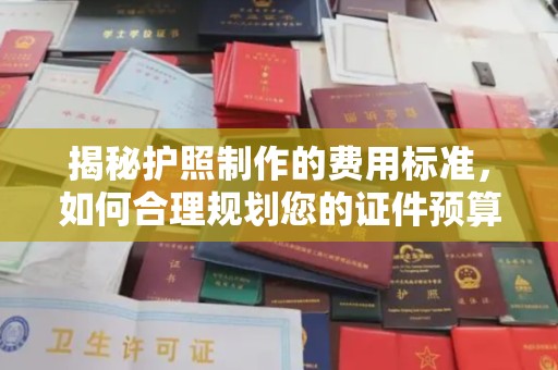 商水揭秘护照制作的费用标准，如何合理规划您的证件预算