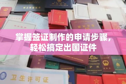 商水掌握签证制作的申请步骤，轻松搞定出国证件