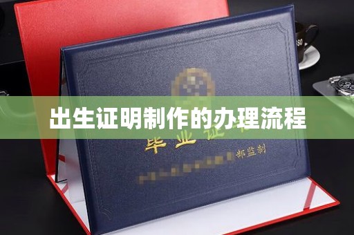 商水出生证明制作的办理流程