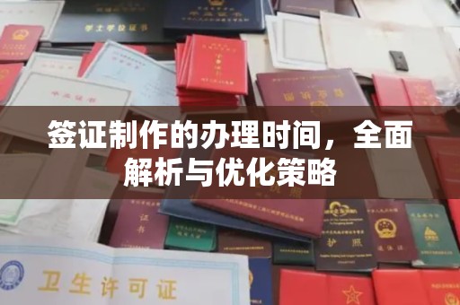 商水签证制作的办理时间，全面解析与优化策略