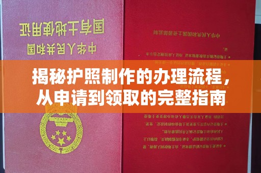 商水揭秘护照制作的办理流程，从申请到领取的完整指南