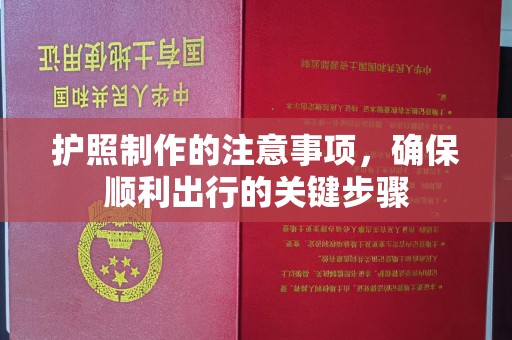 商水护照制作的注意事项，确保顺利出行的关键步骤
